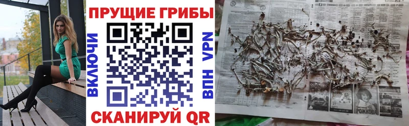 Галлюциногенные грибы MAGIC MUSHROOMS  Туринск 