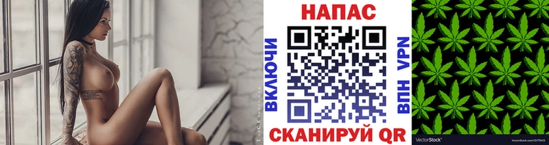 Марихуана планчик  купить закладку  Туринск 